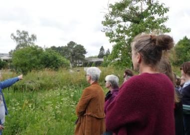 formation biodiversité